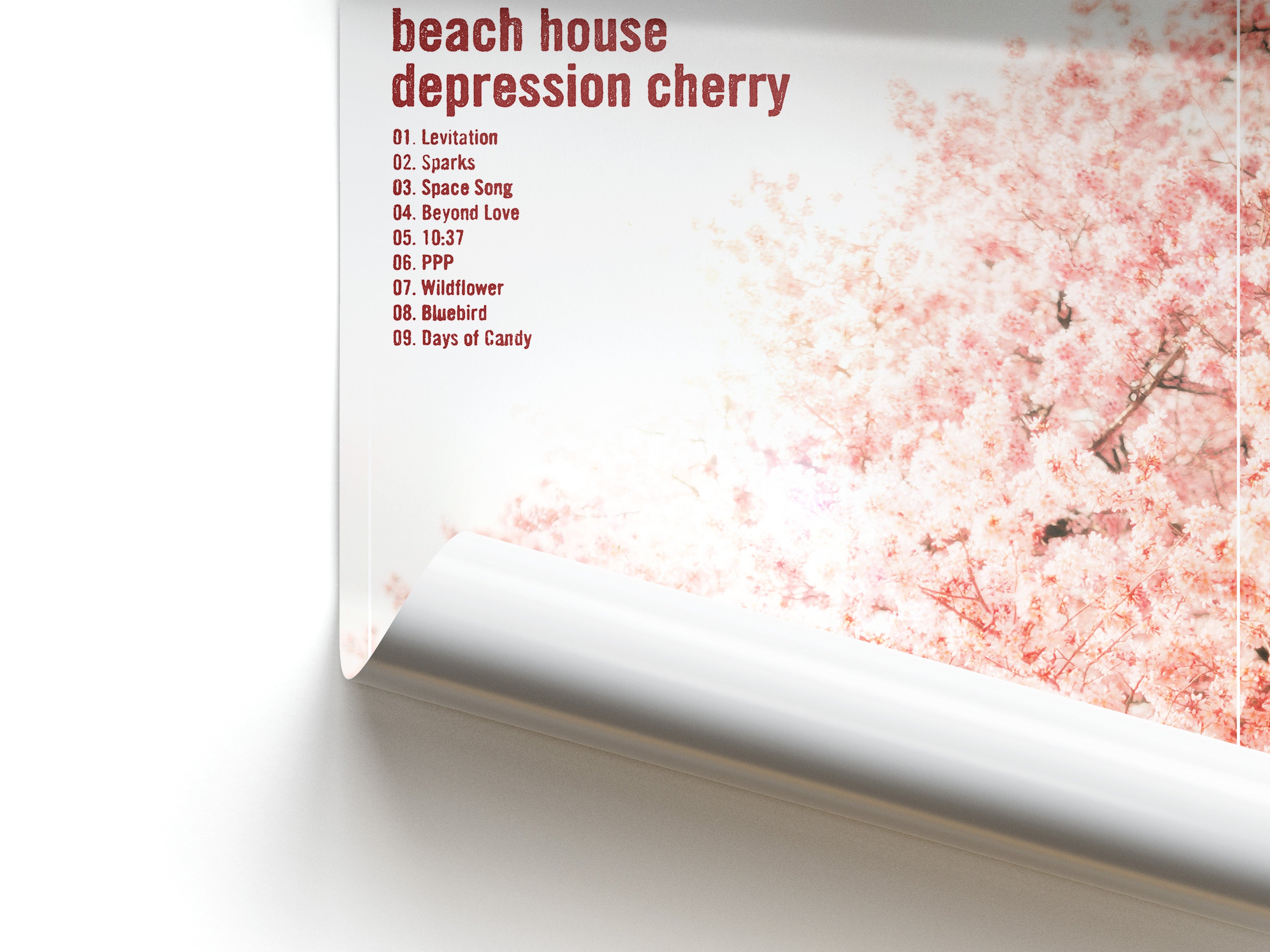 Album cover with cherry blossoms and tracklist on a white background