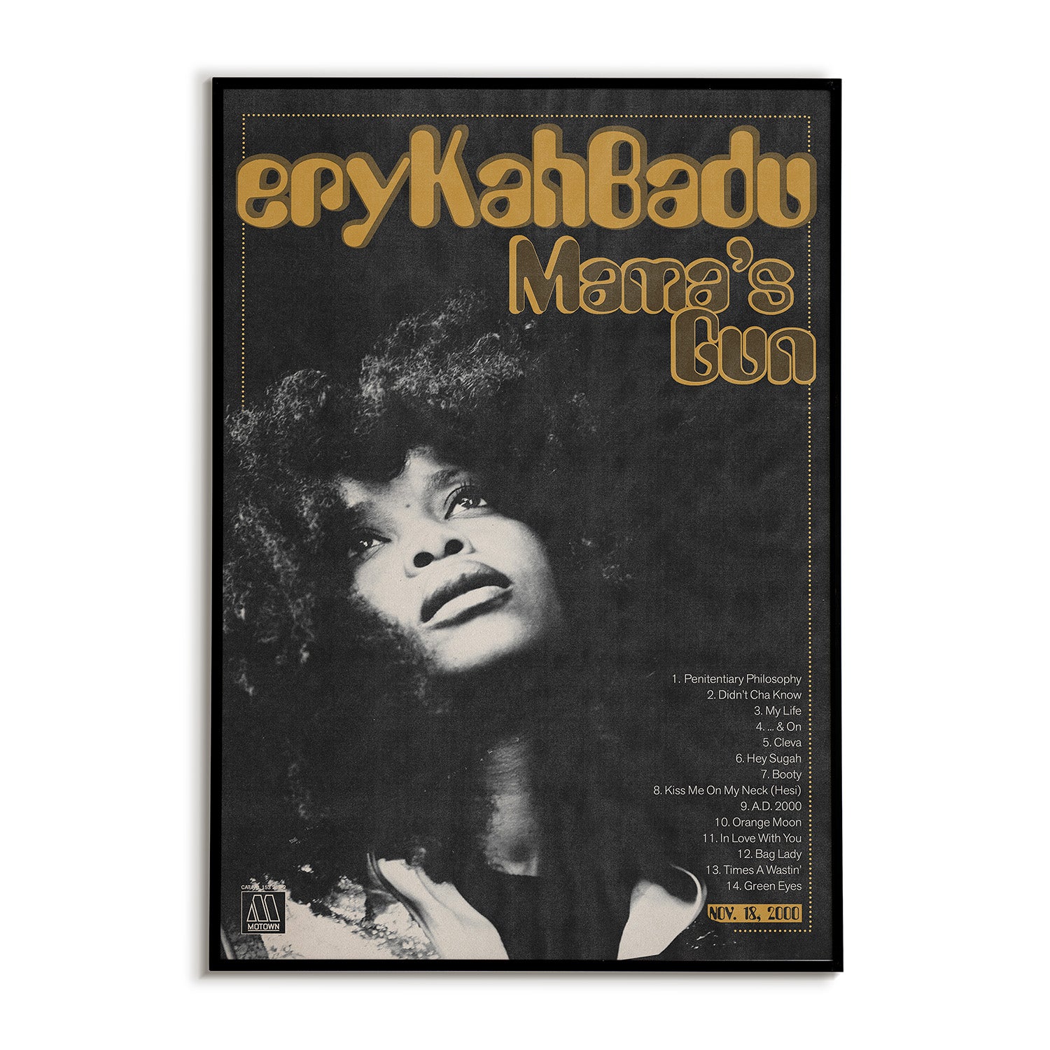 Erykah Badu Mama's Gun Poster
