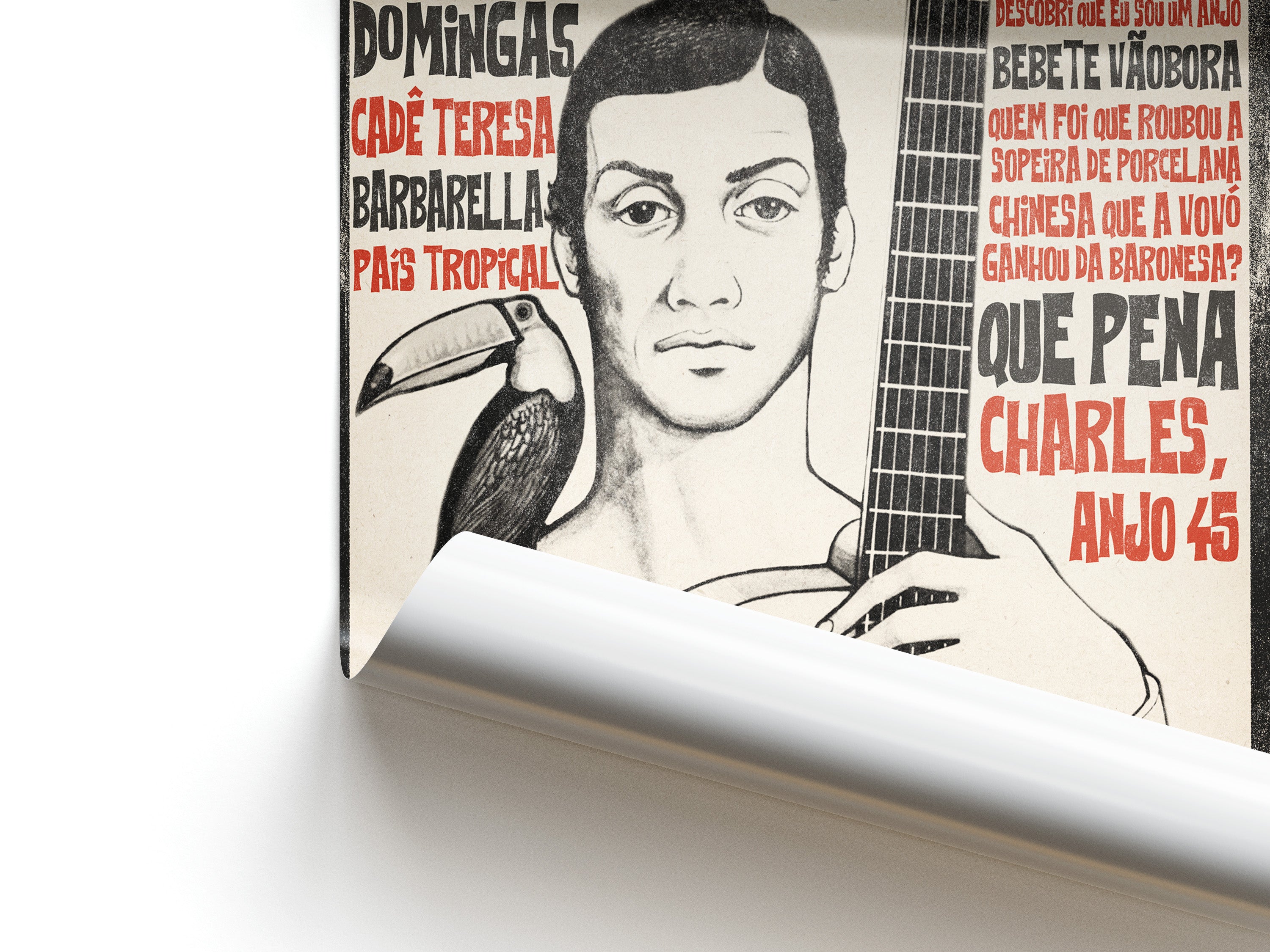 Close up of an album poster with a person holding a guitar and a toucan, with text on a white background