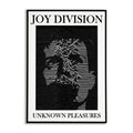 Post-punk Joy Division band poster combining Unknown Pleasures cover art and Ian Curtis imagery