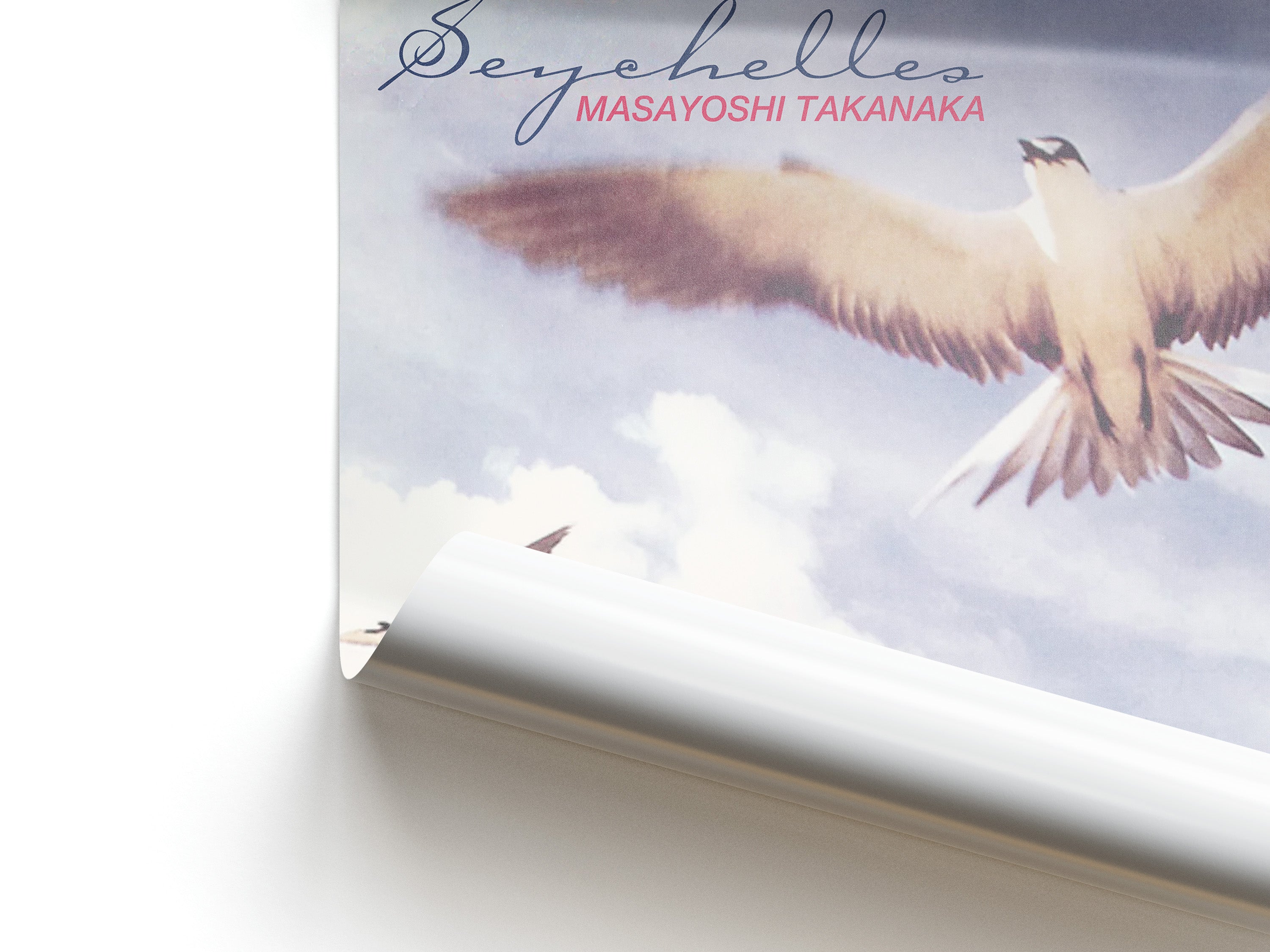 Close up of a poster with a bird illustration and 'Seychelles' text on a white background