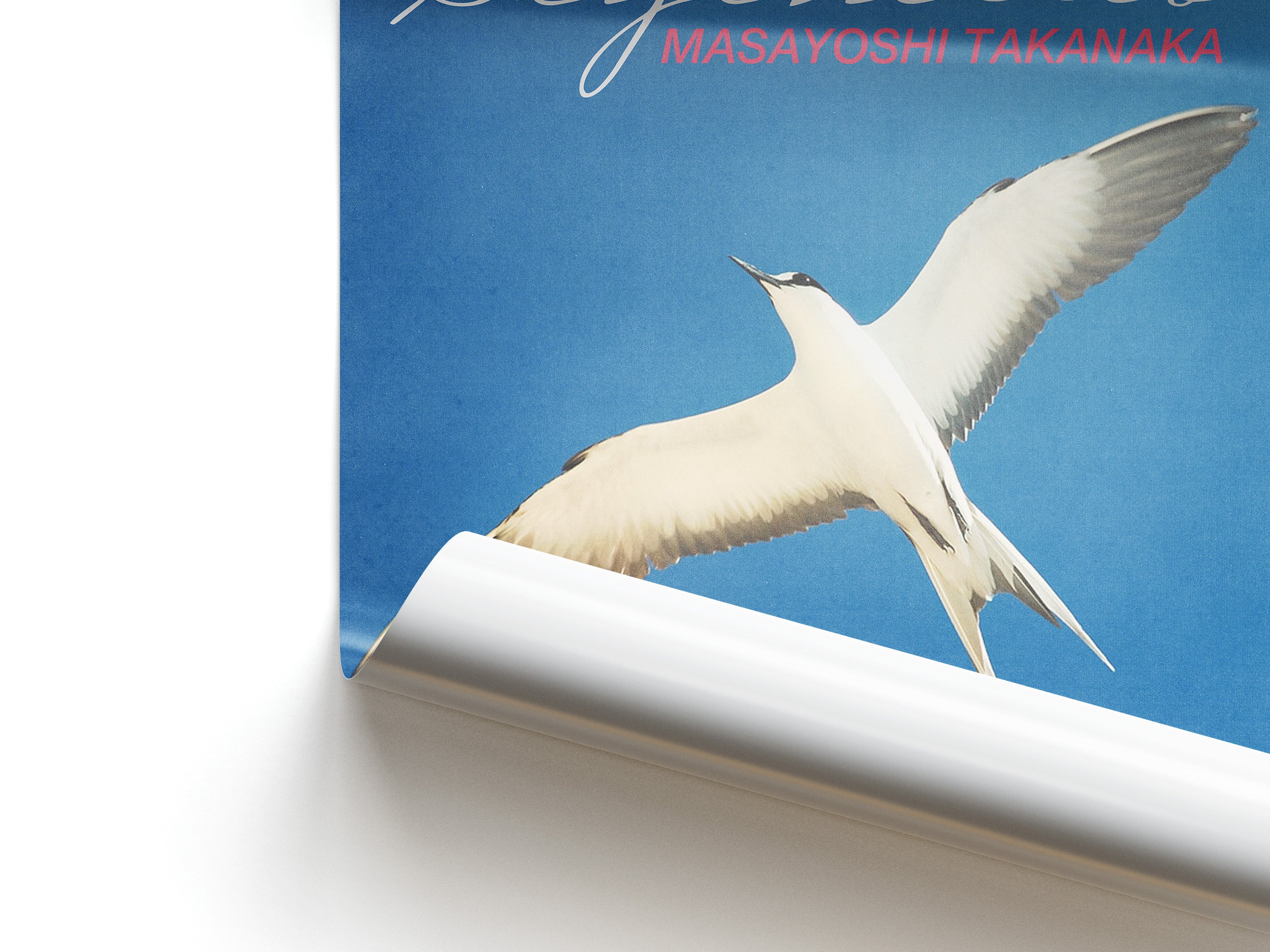 Art print with a bird in flight against a blue sky, featuring the musician's name 'Masayoshi Takanaka' and the album's tracklist