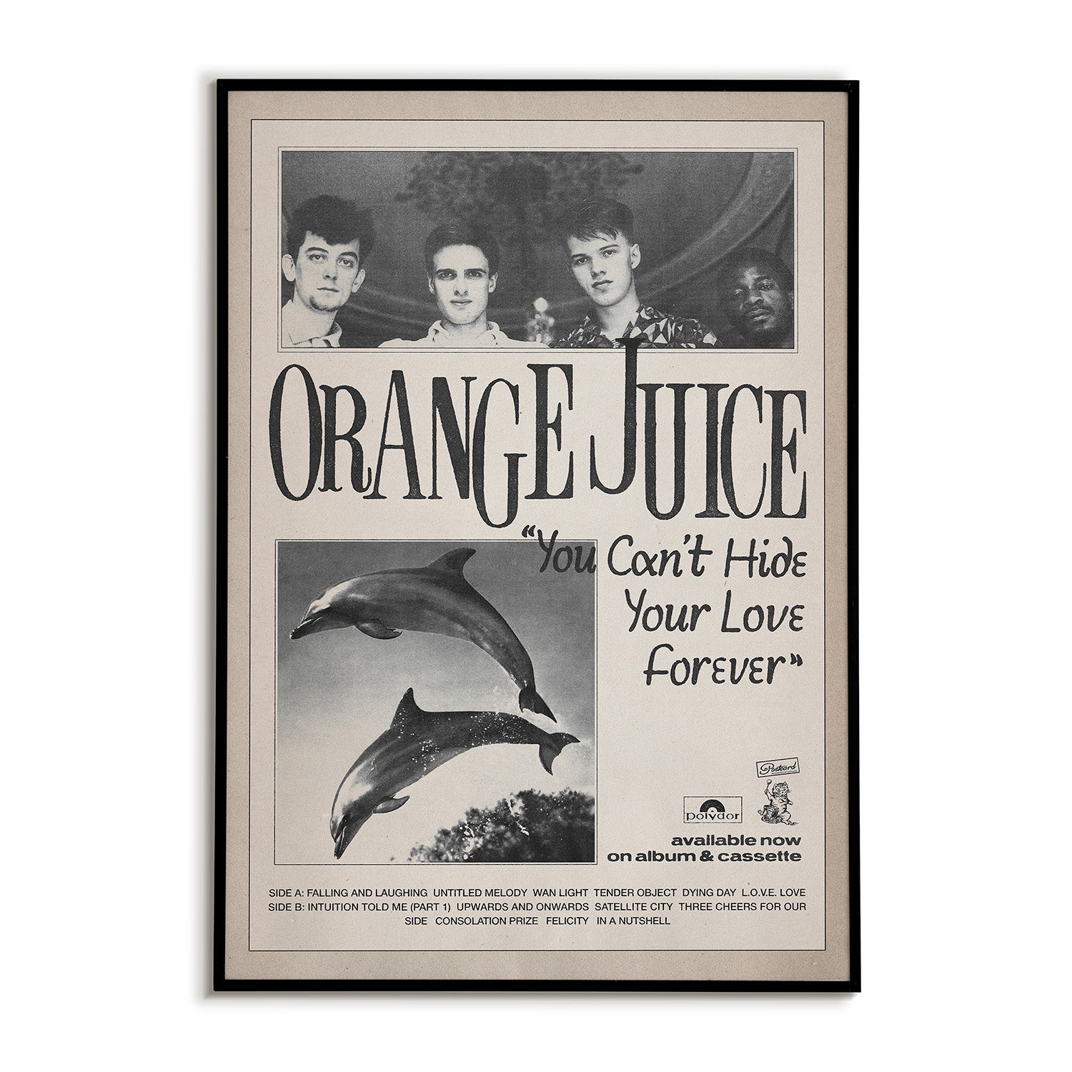 Framed album cover of Orange Juice with dolphins and text