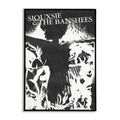 Siouxsie and the Banshees Poster