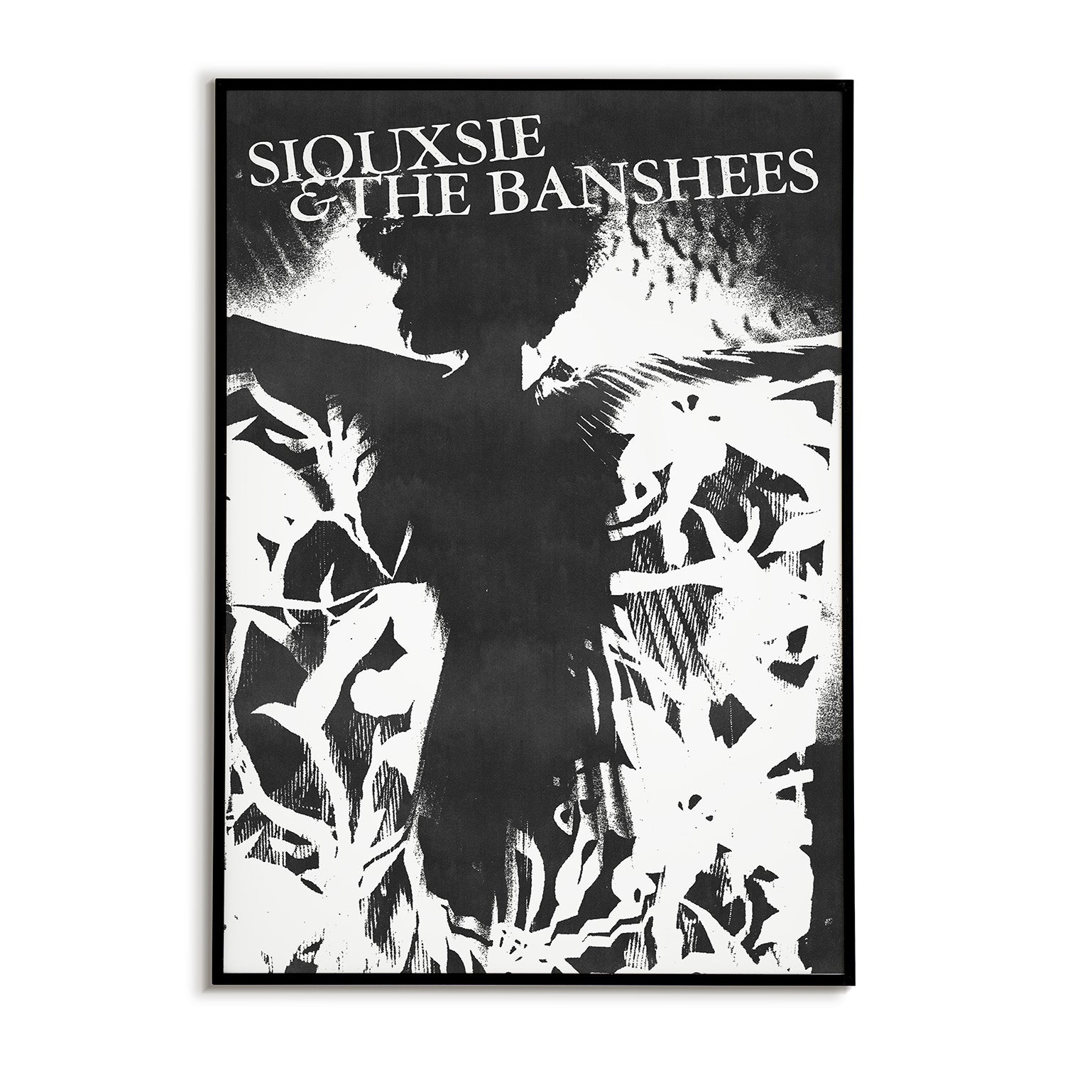 Siouxsie and the Banshees Poster