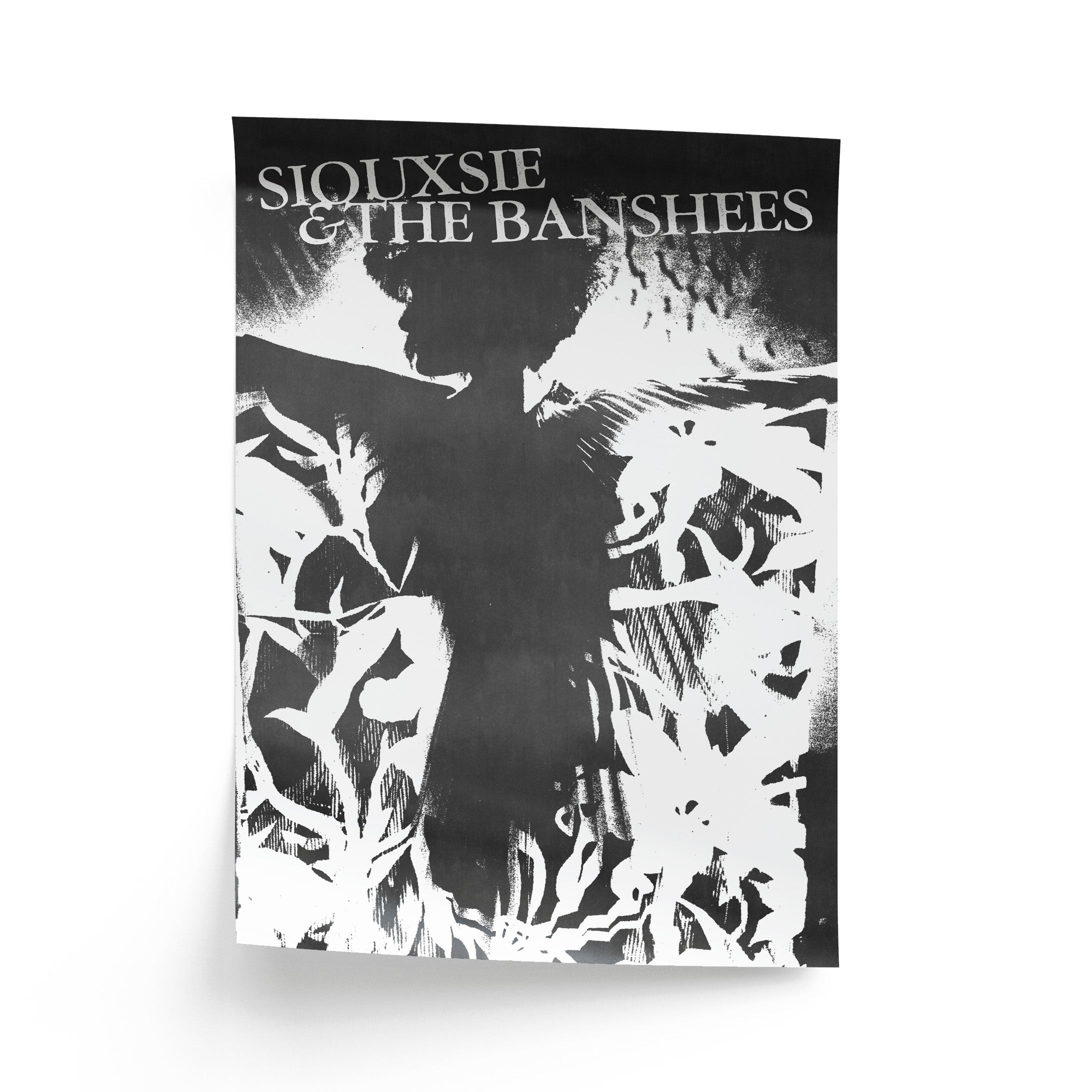 Siouxsie and the Banshees Poster