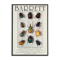 Poster with images of beetles and text about Syd Barrett, framed by a black border.