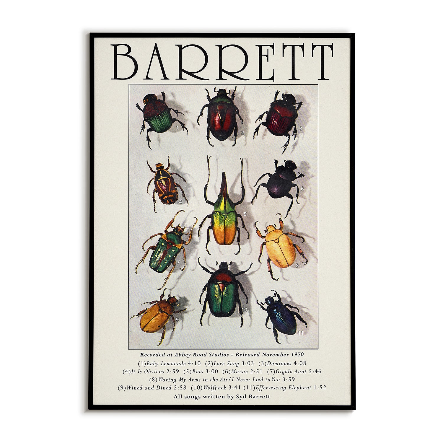 Poster with images of beetles and text about Syd Barrett, framed by a black border.